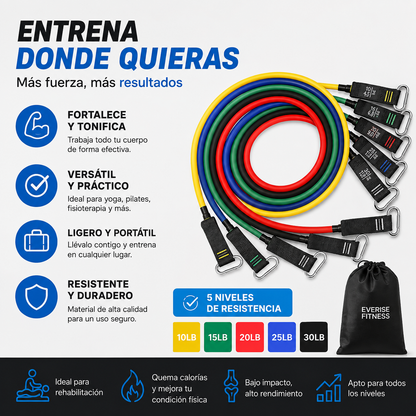 Bandas de Resistencia Profesionales | Entrena Todo tu Cuerpo Desde el Primer Día
